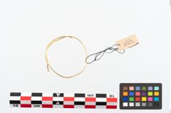 Foto von Golddrahtring (NHMW-PRAE-025484)